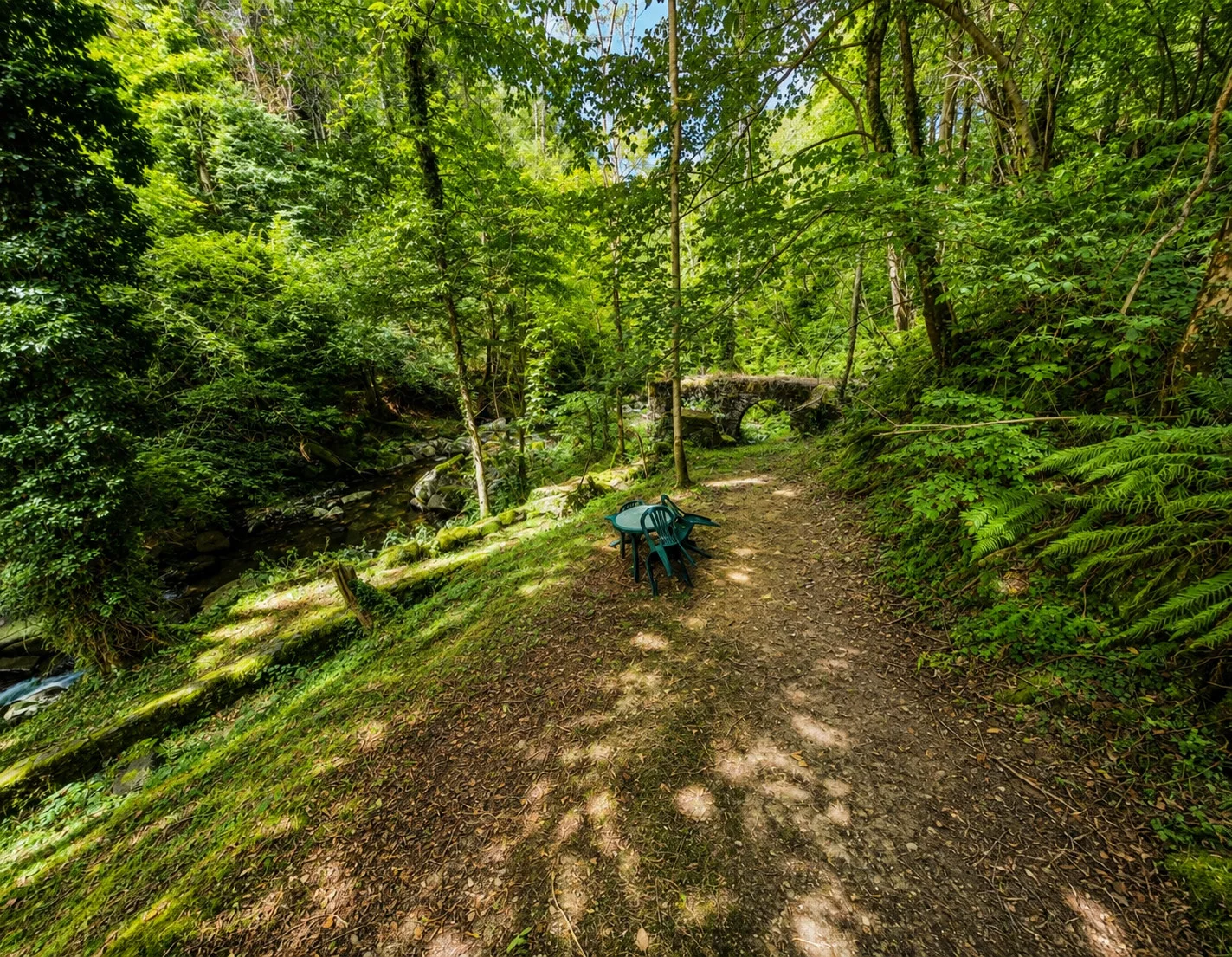 Une table sous les arbres, au rythme de l’eau