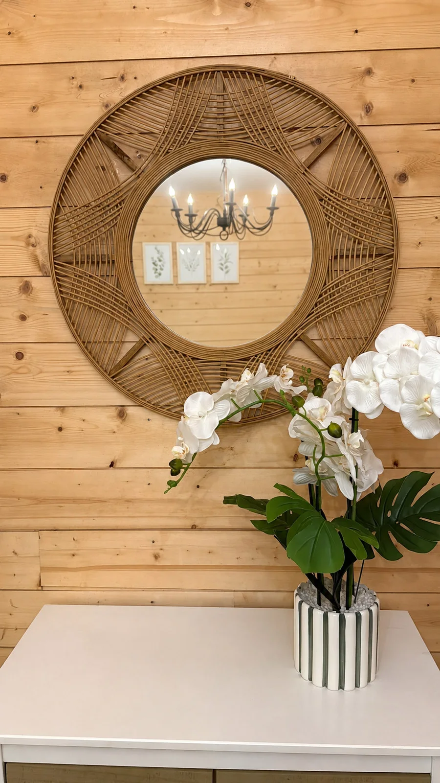 Un détail végétal dans la chambre verte
