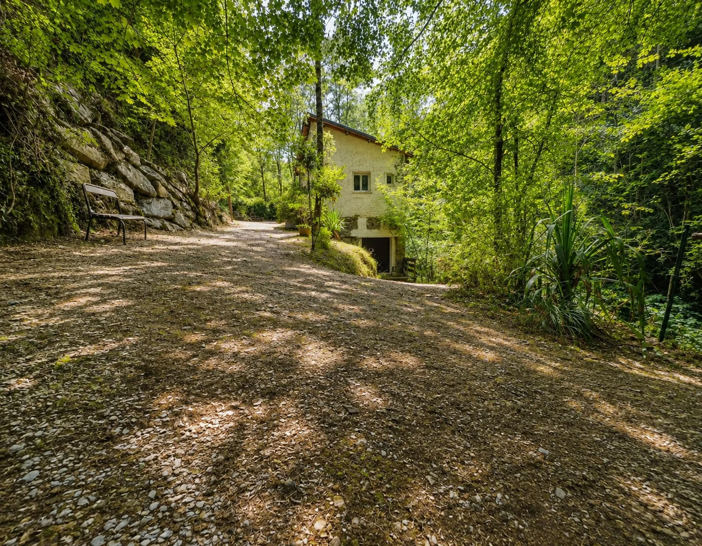 La cour ombragée, entre maison et forêt
