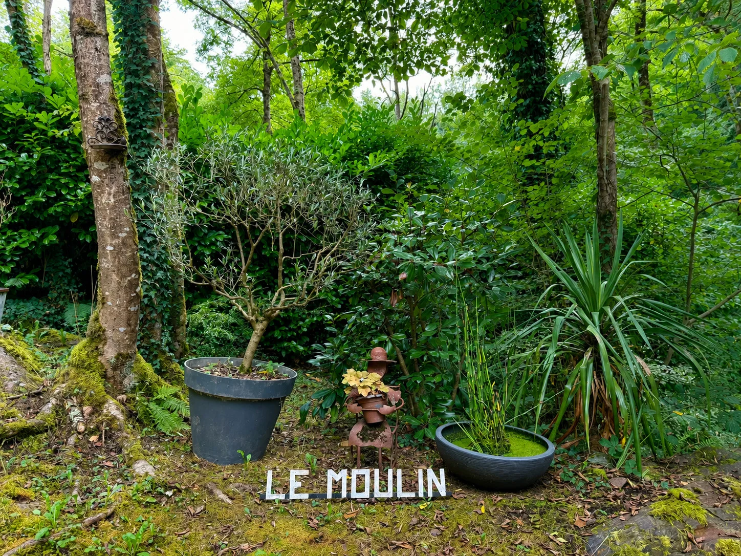 Le Moulin se révèle au bout du chemin
