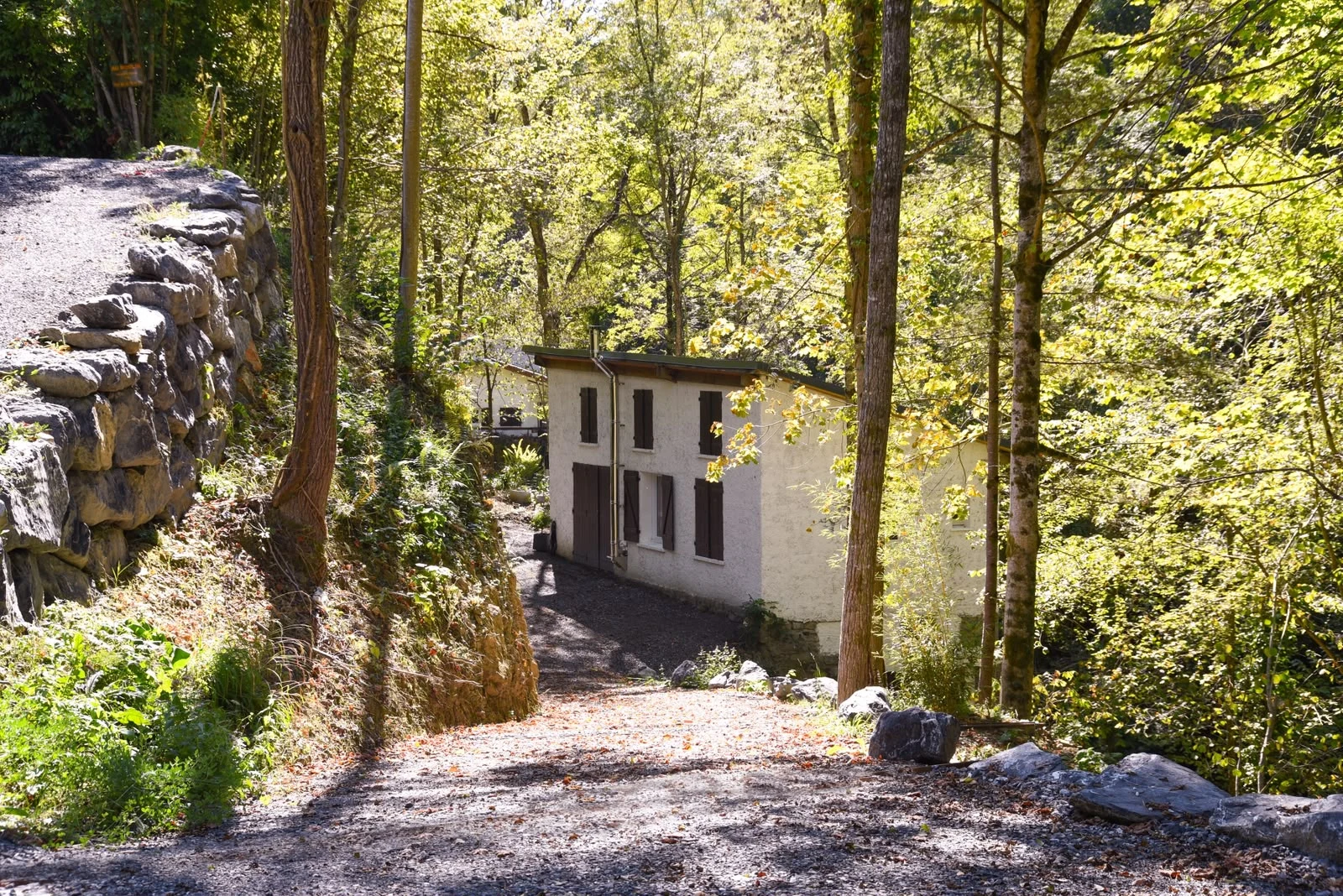 Chemin forestier en pente menant au gîte Au Moulin
