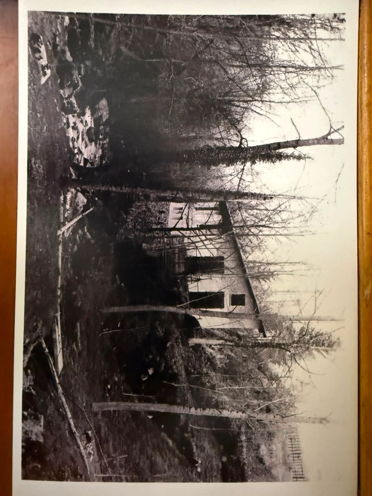 Photographie ancienne en noir et blanc d’un bâtiment de la partie privée du Moulin parmi les arbres