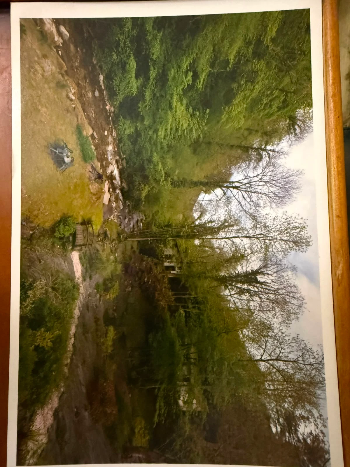 Ancienne photographie en couleur des arbres et de l’eau autour de la partie privée du Moulin