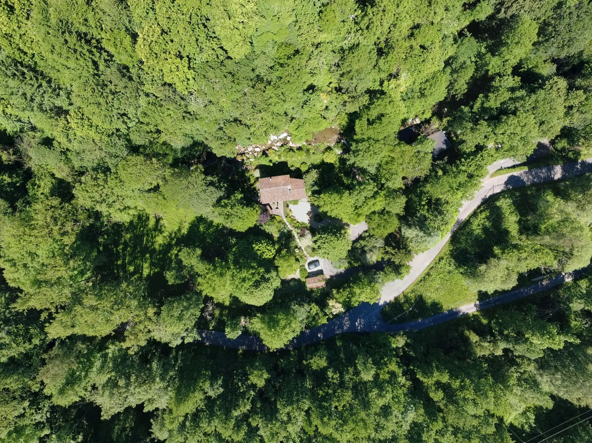 Au Moulin vu du ciel sous la canopée dense de l’été