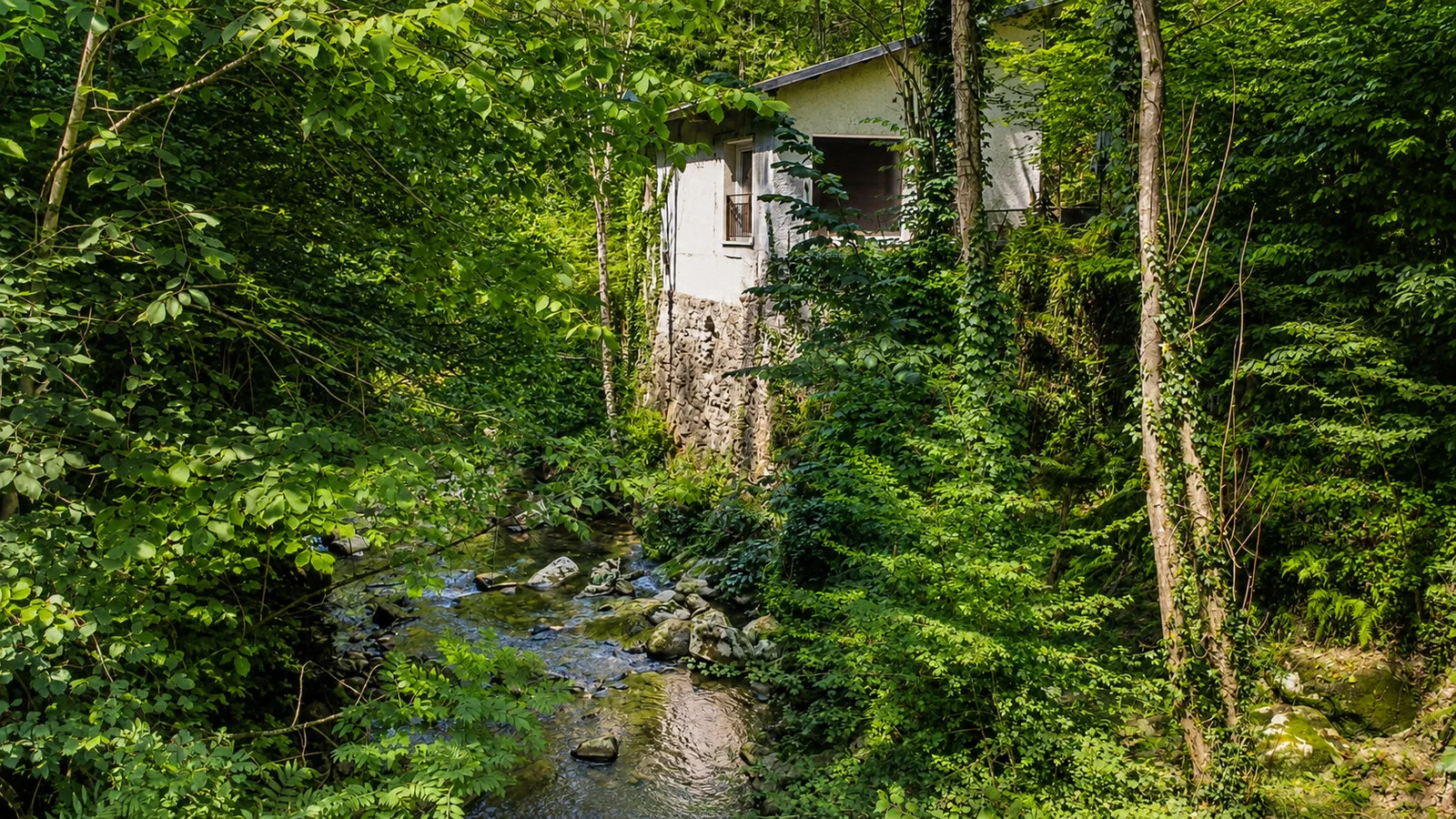 Le gîte presque caché dans la forêt