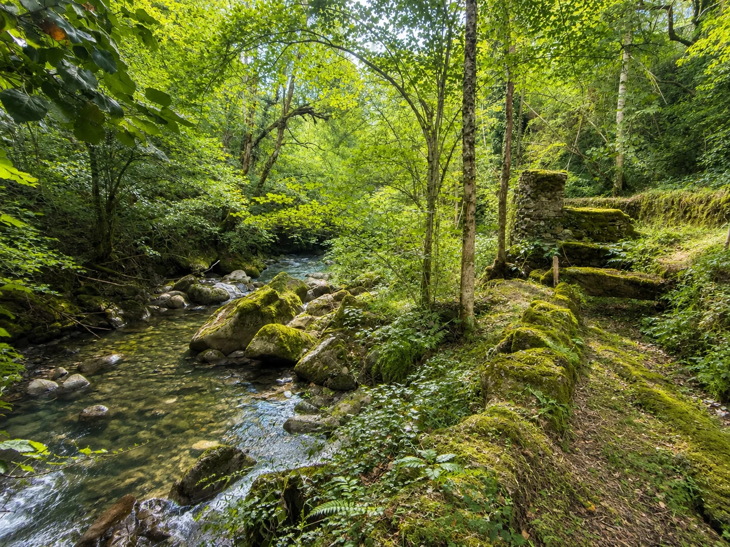 L’eau poursuit son chemin entre les pierres anciennes