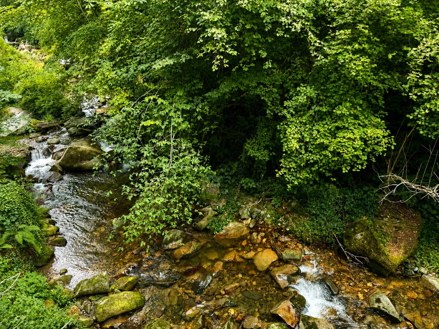 Le lit de la rivière vu d’en haut