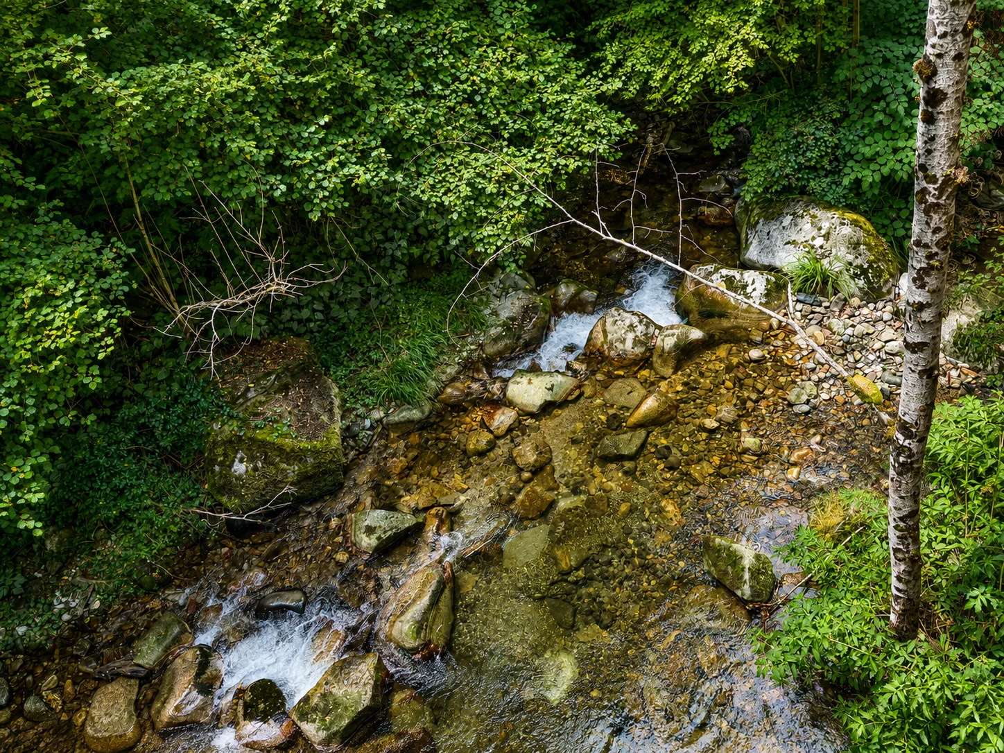 Les rochers et l’eau juste sous la maison