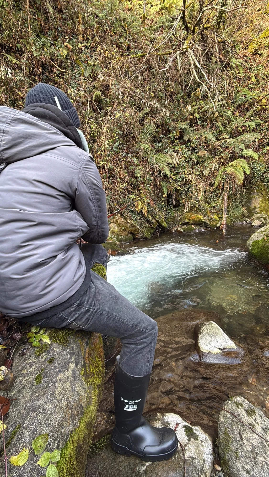 Une partie de pêche en rivière, 02